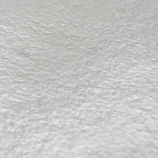 Hahnemuhle Photo Rag metallic détail