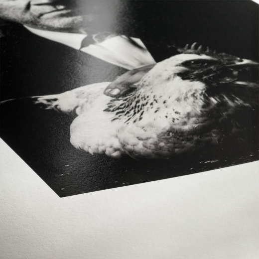 Hahnemühle Photo Rag Baryta 315 montpellier